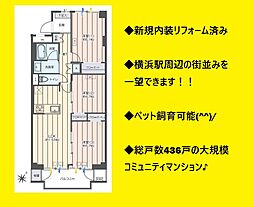 三ッ沢ハイタウン4号棟