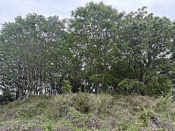 寺上野売土地