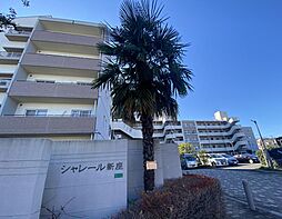 シャレール新座 113