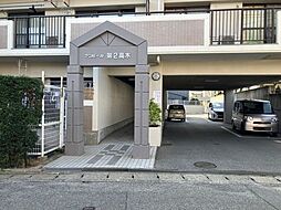 アンピール第2高木