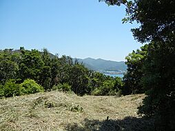 日高郡美浜町大字三尾の土地