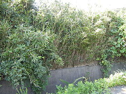 日高郡美浜町大字三尾の土地