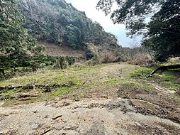 日高郡日高川町大字蛇尾の土地