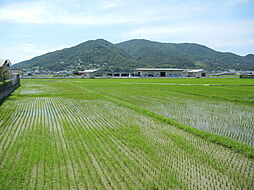 日高郡美浜町大字和田の土地