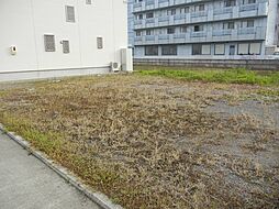 日高郡美浜町大字和田の土地