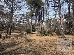 「リゾート土地」富士桜高原別荘地