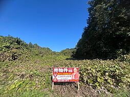 桜川市金敷