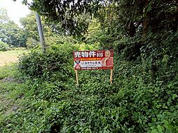 結城市大字上山川の土地