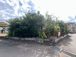 稲敷市鳩崎