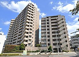 サーパスシティ柏 1206号室