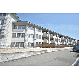 サンライズ緑丘 0102