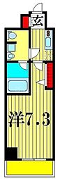 ラフィスタ新小岩