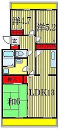 パレスオオハク