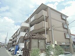レクサス芳泉I・II