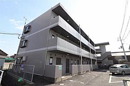 シャンティ青江