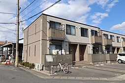 ダンデライオン　A