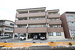 ステラマリス