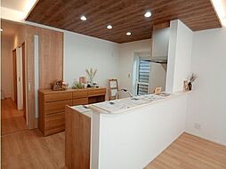 新築戸建  　ルルーディア西大寺中野