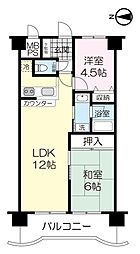 朝日プラザ柏木　1020 1020