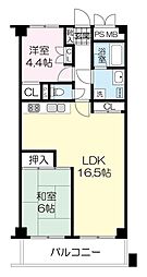 チュリス花壇　505 505