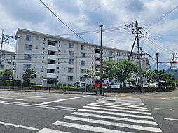 四箇田団地37号棟 504