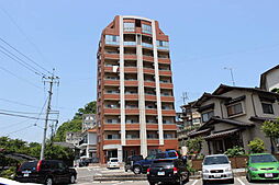 ティニーMatsuyama 502