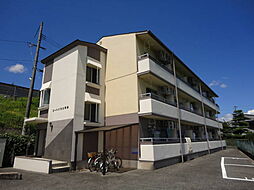 コートハウス坪井 102