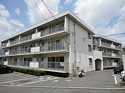 シャトウ春 203