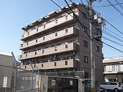 ティアラサイワ 501