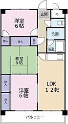 アマ・デトワールI 305