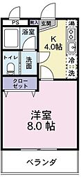 フィールド・オブ・ウィステリア 305