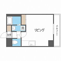 セントポーリアカルーア