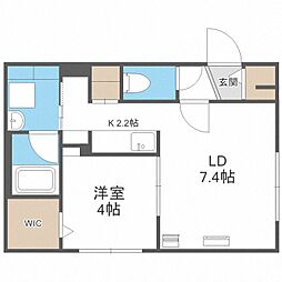 ＦＩＯＲＩＴＵＲＡ　ＮＩＳＨＩＭＡＣＨＩ