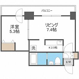 ビッグパレス南4条