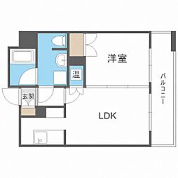 ラフィネタワー札幌南3条
