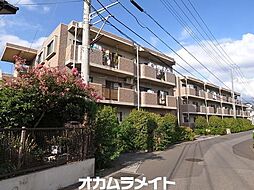 エレガント・セレーノ
