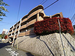 神戸市東灘区岡本８丁目