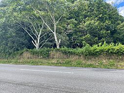 揖斐川町谷汲深坂