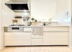 Cradlegarden成田市中台玉造第13　全2棟 1号棟