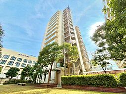 コスモウィル大島