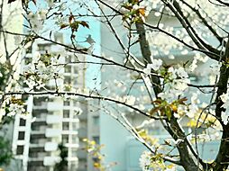 メゾンエクレーレ南千住 208号室