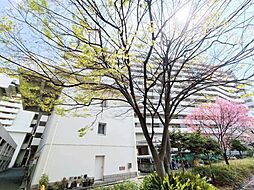 東白鬚第二マンション 11号棟