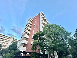 光が丘パークタウン ゆりの木通り南3号棟