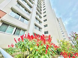 高島平第三住宅8号棟