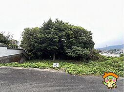 筑紫野市大字天山 土地