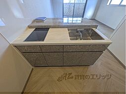 ＰＨＯＥＮＩＸ　Ｃｌｏｖｅ　Ｔｏｍｏｉ 205