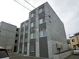 ＶＩＶＡＣＥ　ＨＡＳＳＡＭＵ 203