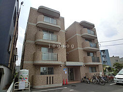 セントポーリアアイリス 101