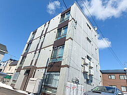 Ｓｏｌｅｉｌ　Ｌｅｖａｎｔ(ソレイユ・ルヴァン） 302