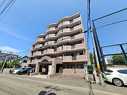 ノール中の島 307